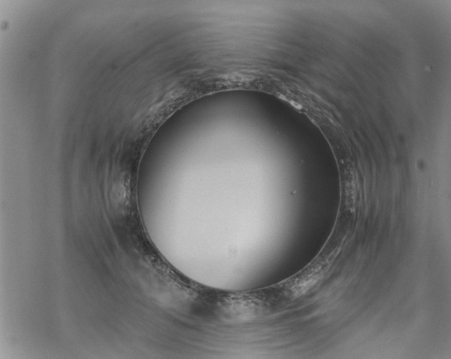 X0000069390608200605192215