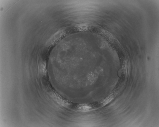 X0000069390610200605192215