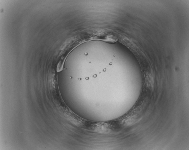 X0000069390612200605192215