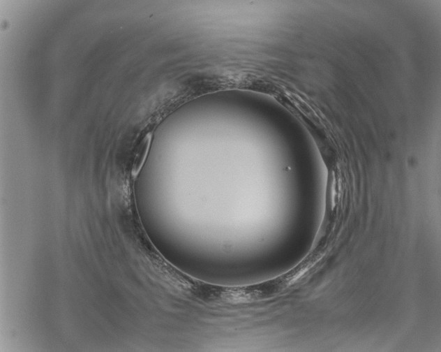 X0000069390613200605192215