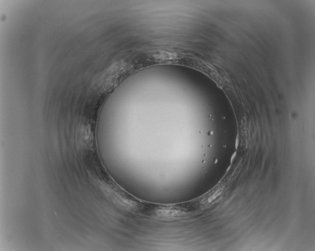 X0000069390614200605192215