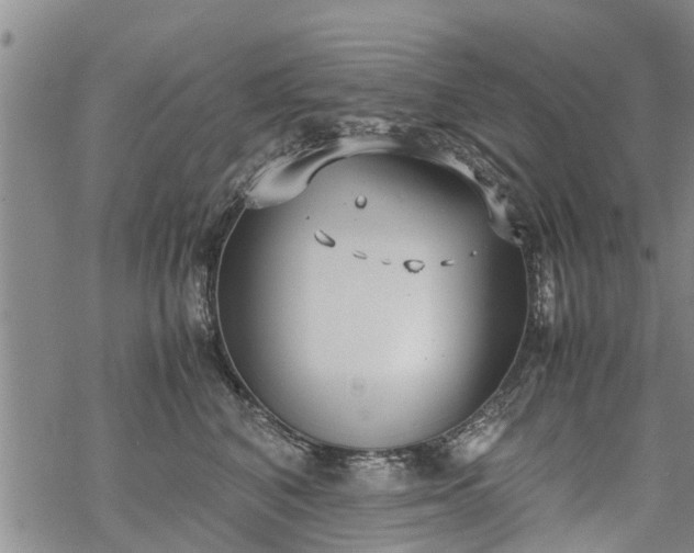 X0000069390616200605192215