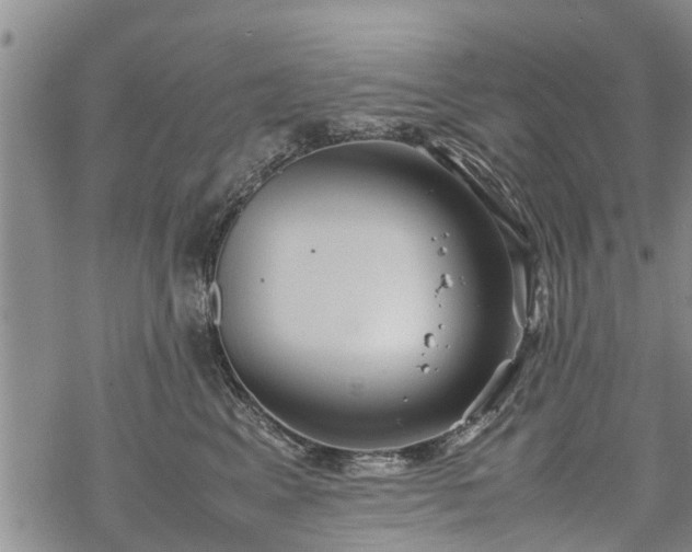 X0000069390617200605192215