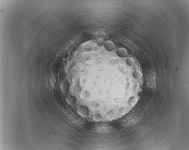 X0000069390618200605192215