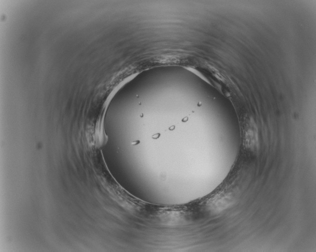 X0000069390620200605192215