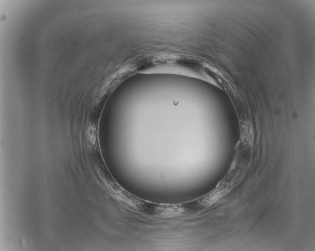 X0000069390621200605192215