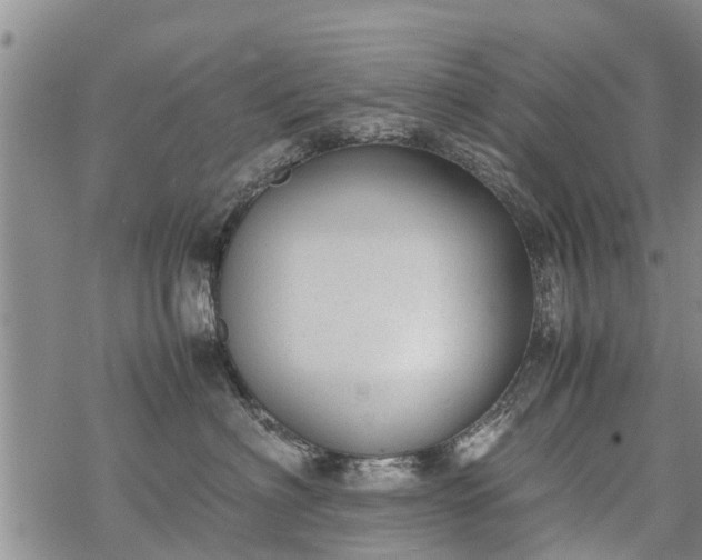 X0000069390622200605192215