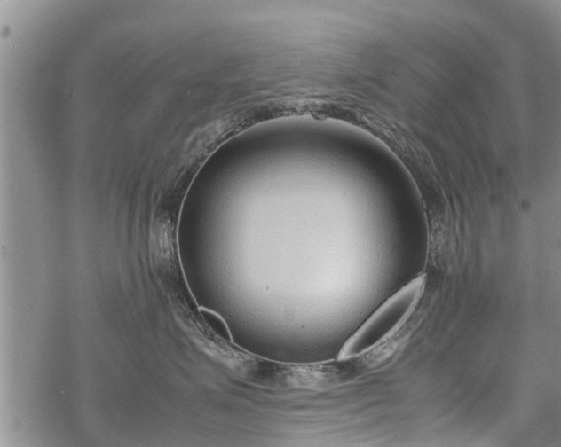 X0000069390623200605192215