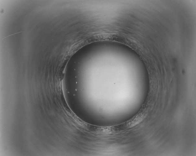 X0000069390624200605192215