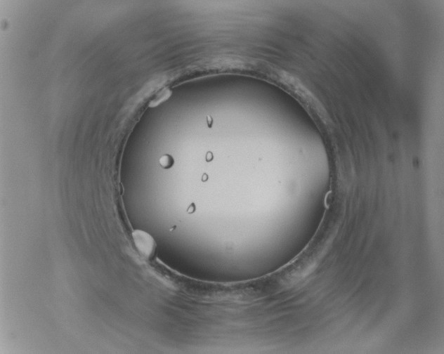 X0000069390625200605192214