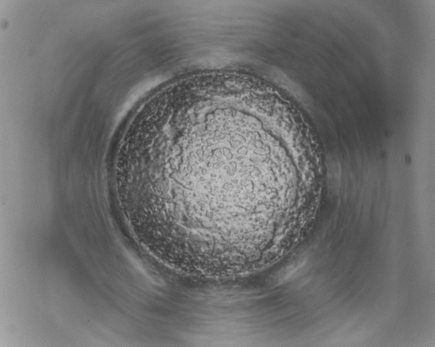 X0000069390626200605192214