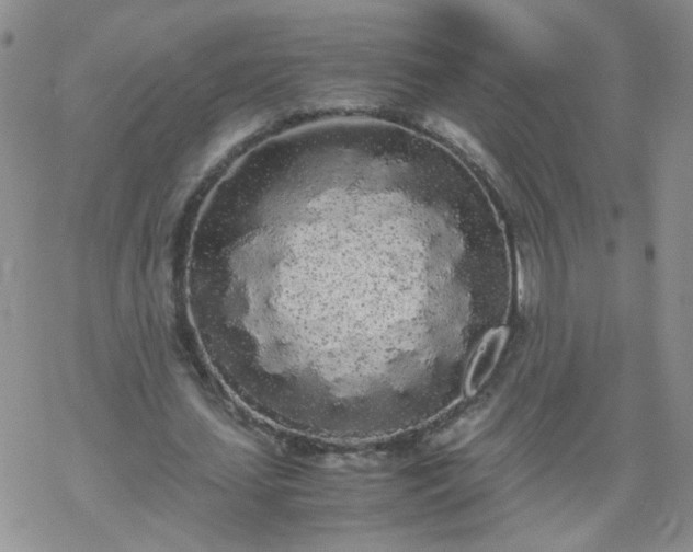 X0000069390627200605192214