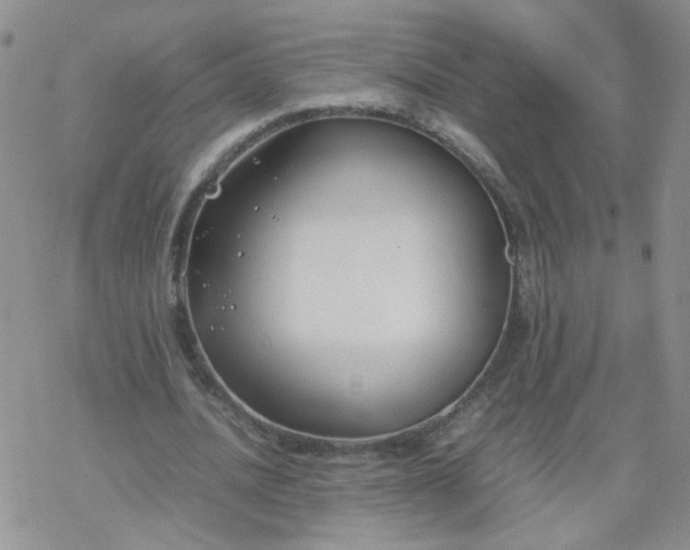 X0000069390628200605192214