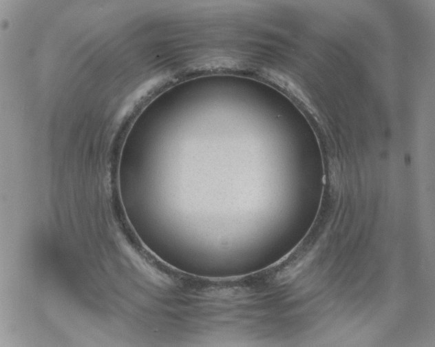 X0000069390629200605192215