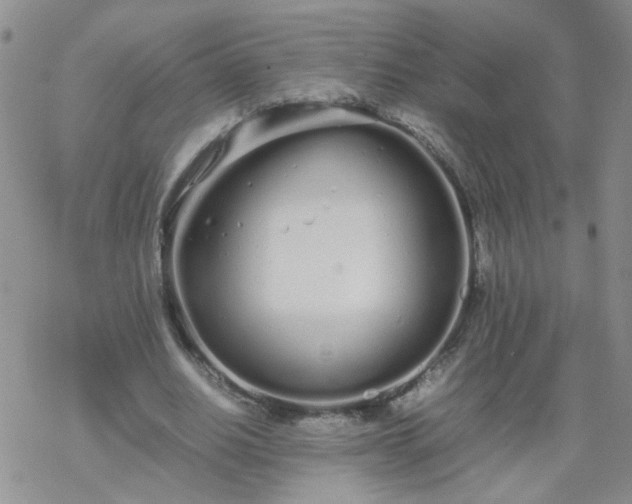 X0000069390630200605192215