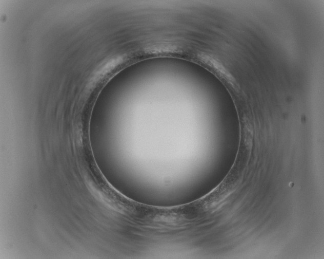 X0000069390631200605192215