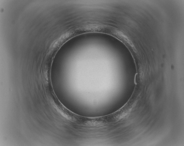 X0000069390633200605192215