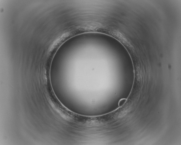 X0000069390634200605192215