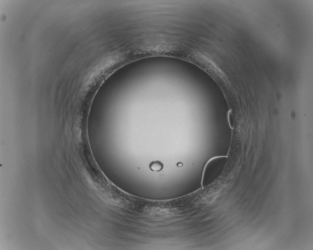 X0000069390635200605192215