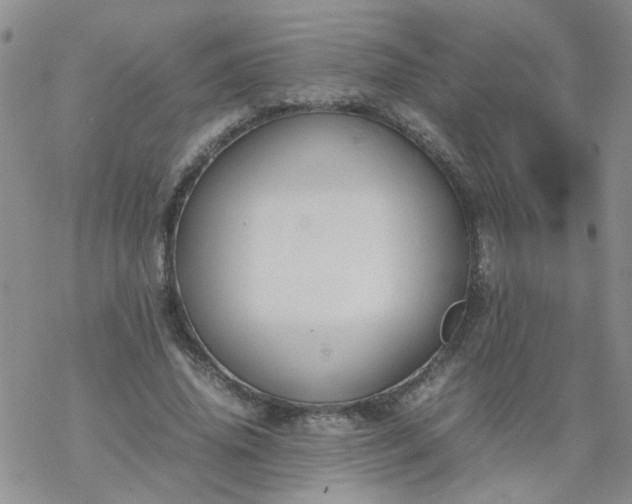 X0000069390636200605192215