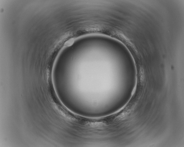 X0000069390637200605192215