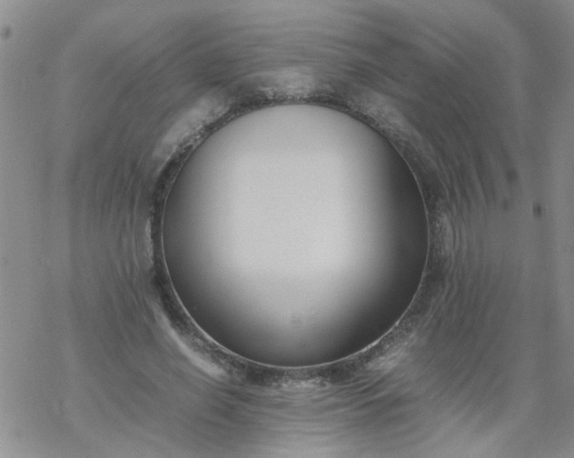 X0000069390638200605192215