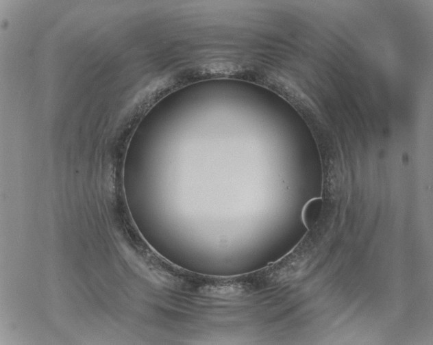 X0000069390639200605192215