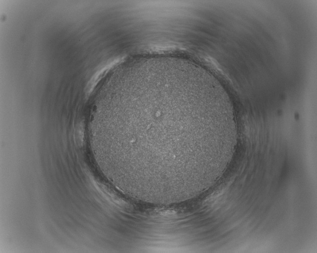 X0000069390640200605192215