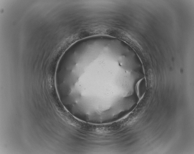 X0000069390641200605192215