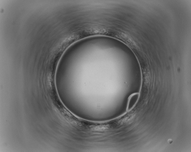 X0000069390643200605192215