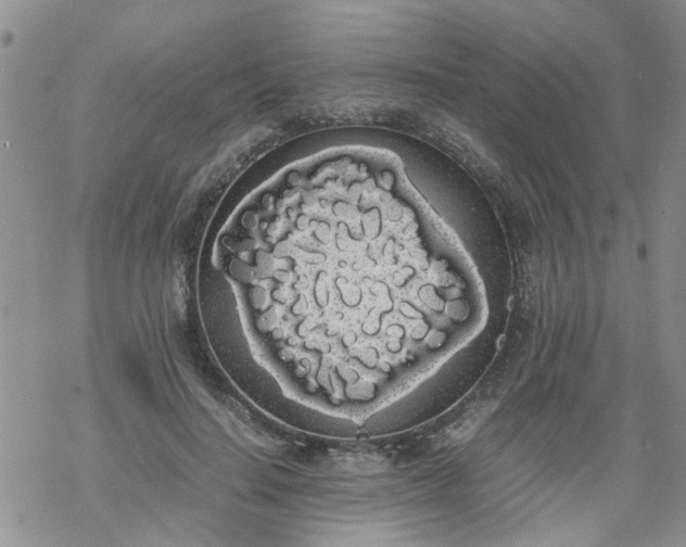 X0000069390644200605192215