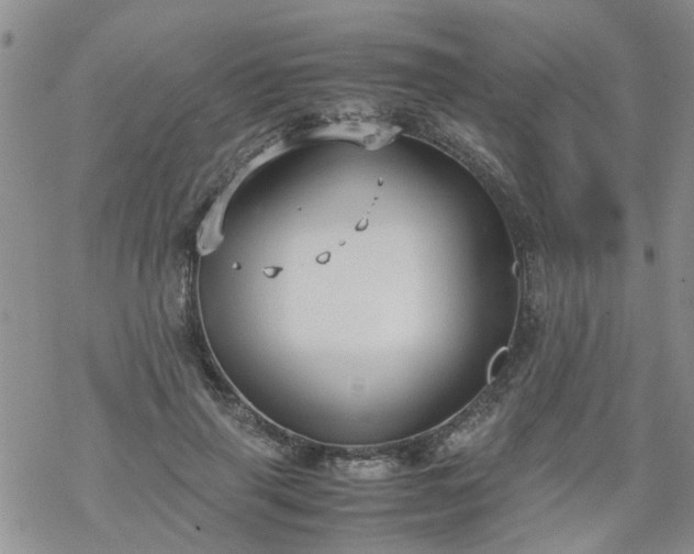 X0000069390645200605192215