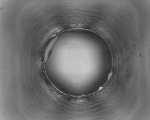 X0000069390647200605192215