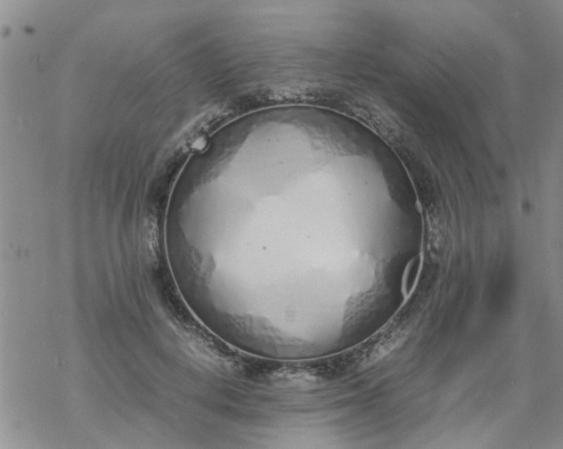 X0000069390648200605192215