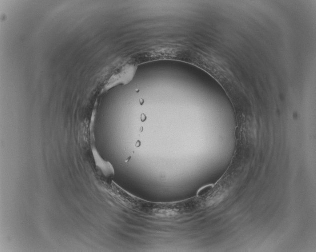 X0000069390649200605192215