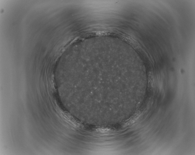 X0000069390650200605192215