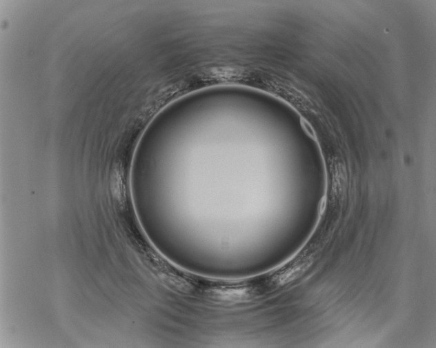 X0000069390651200605192215