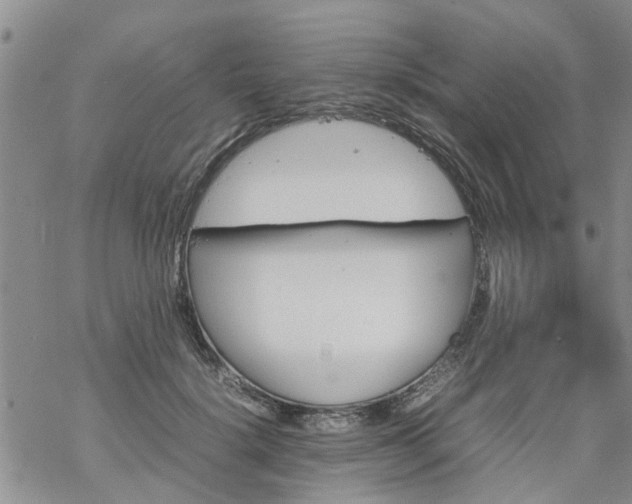 X0000069390652200605192215