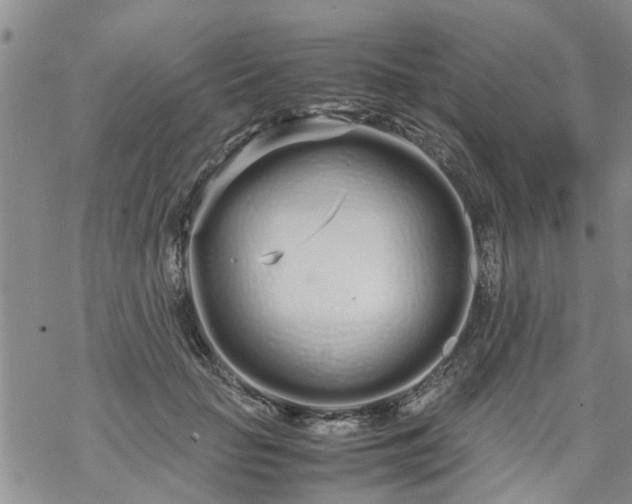 X0000069390653200605192215