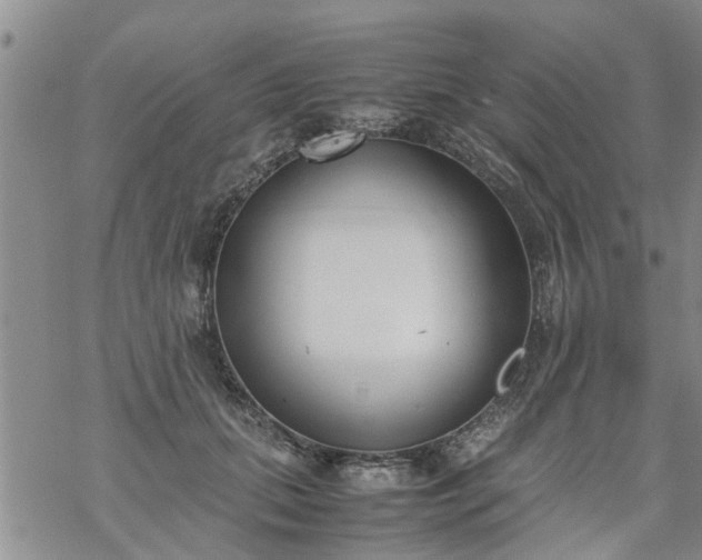 X0000069390655200605192215