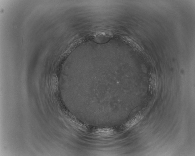 X0000069390659200605192215