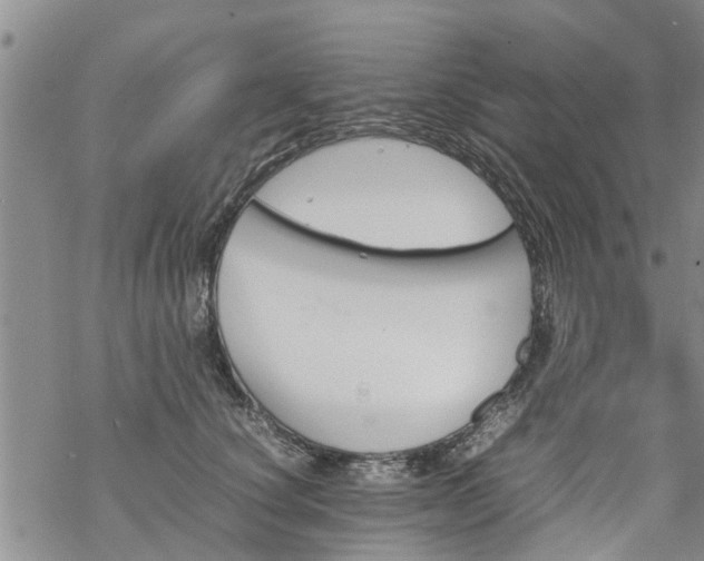 X0000069390660200605192215