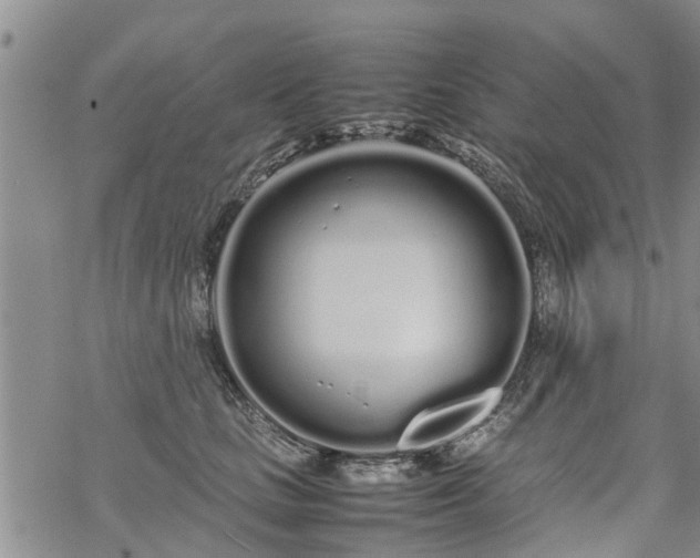 X0000069390661200605192215