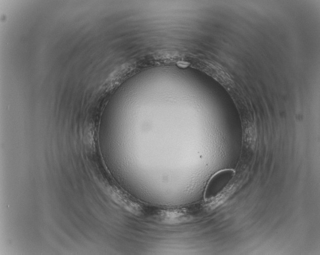 X0000069390662200605192215