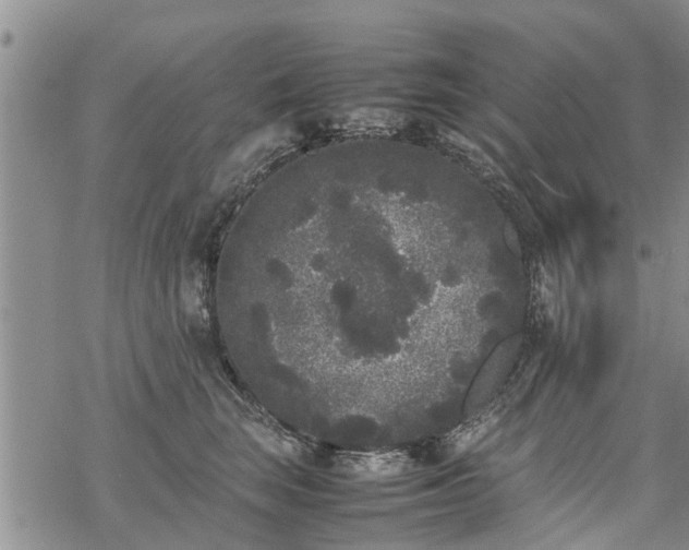 X0000069390663200605192215