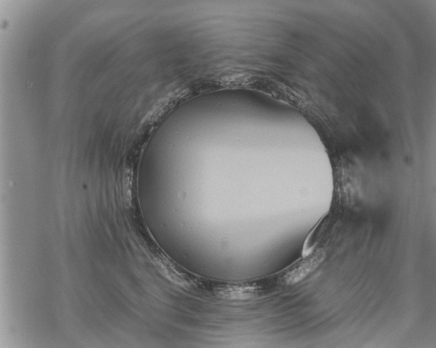 X0000069390664200605192215