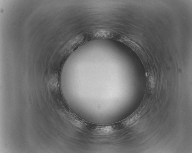 X0000069390665200605192215