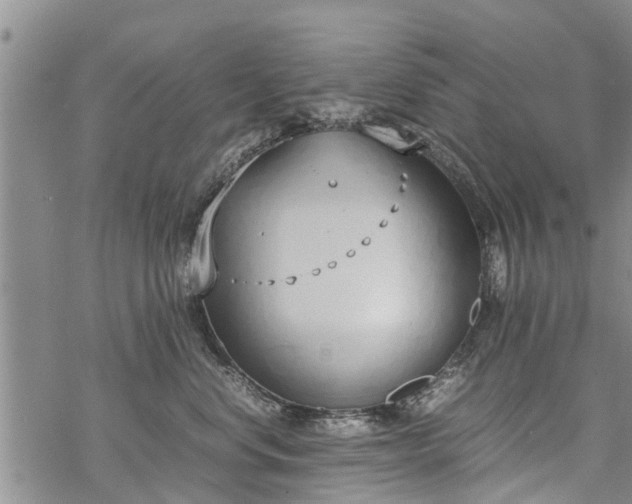 X0000069390668200605192215