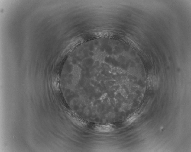 X0000069390671200605192215