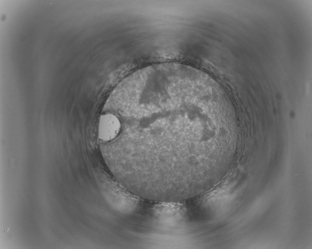 X0000069390672200605192215